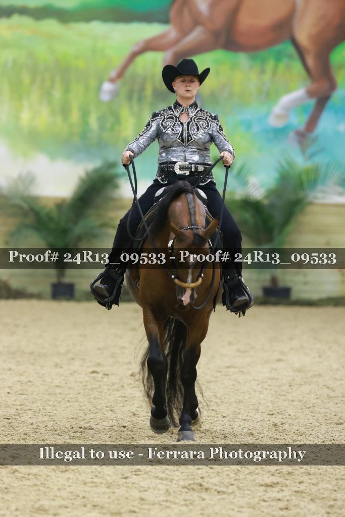 Proof 24R13_09533
