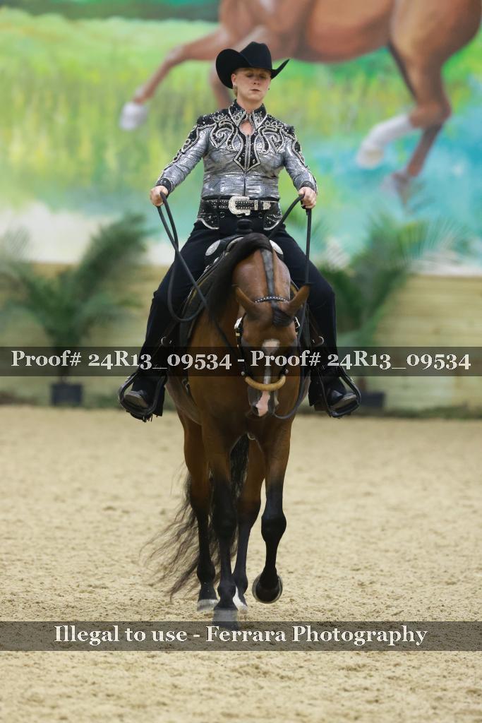 Proof 24R13_09534