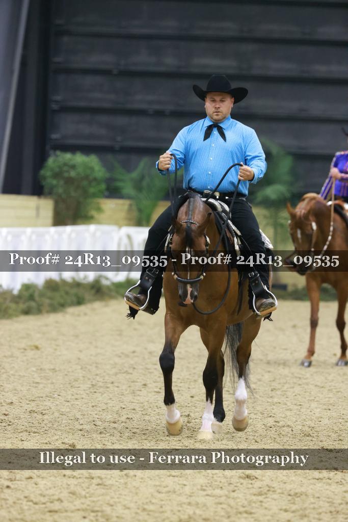 Proof 24R13_09535