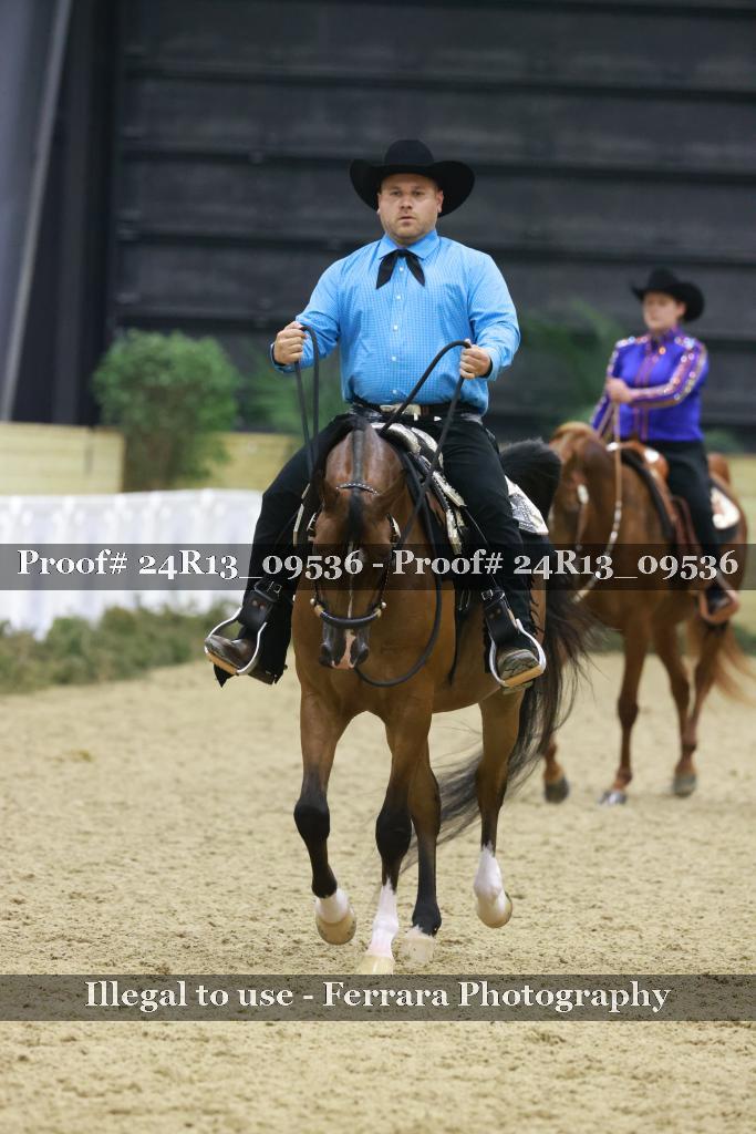 Proof 24R13_09536