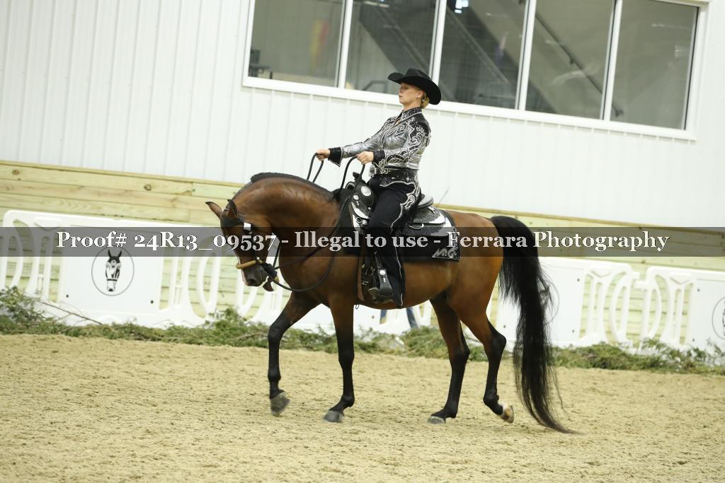 Proof 24R13_09537