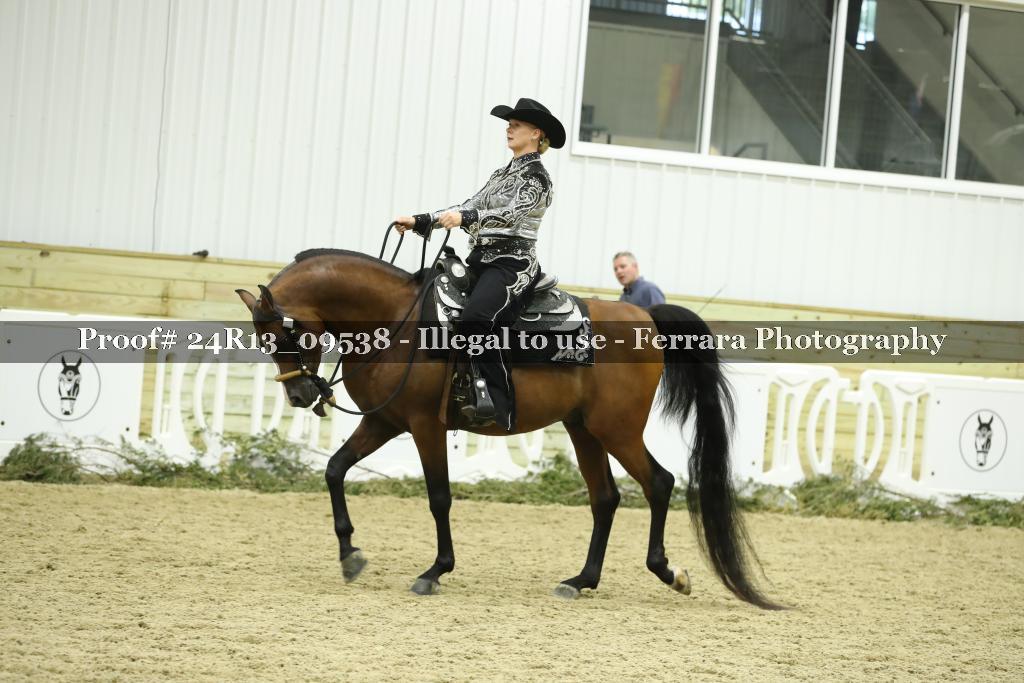 Proof 24R13_09538