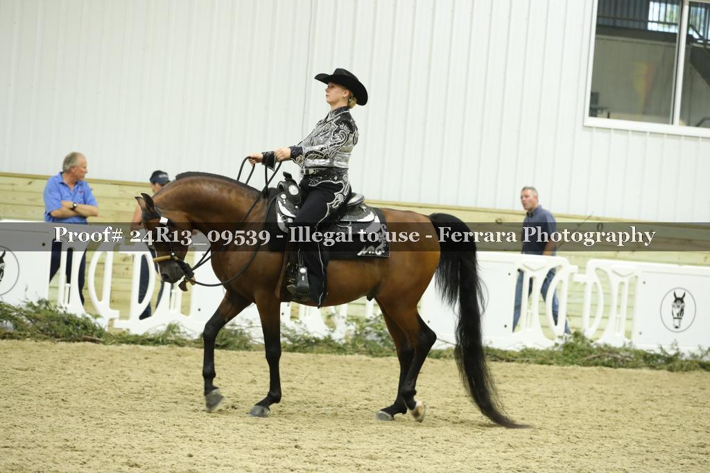 Proof 24R13_09539
