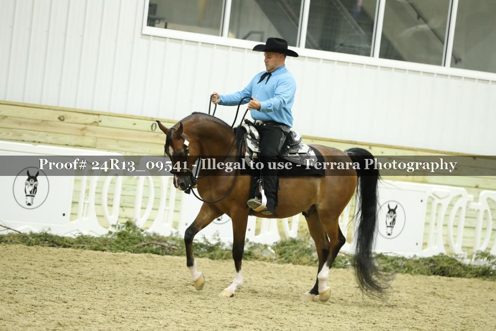 Proof 24R13_09541