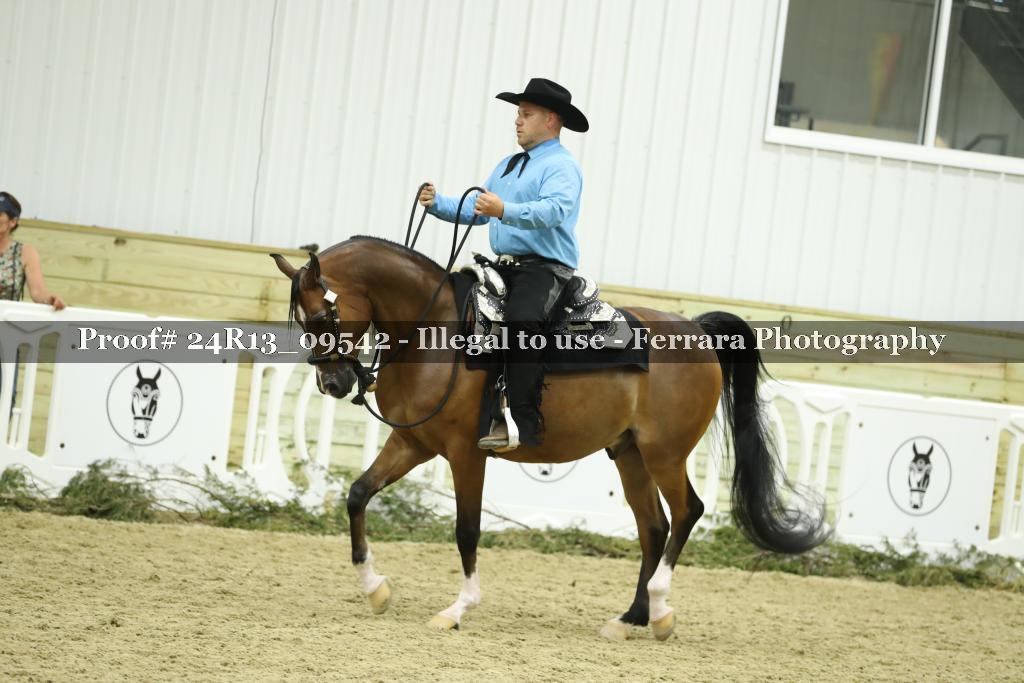 Proof 24R13_09542