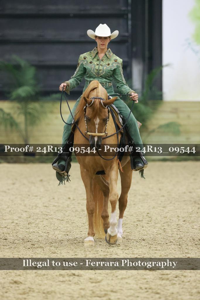 Proof 24R13_09544