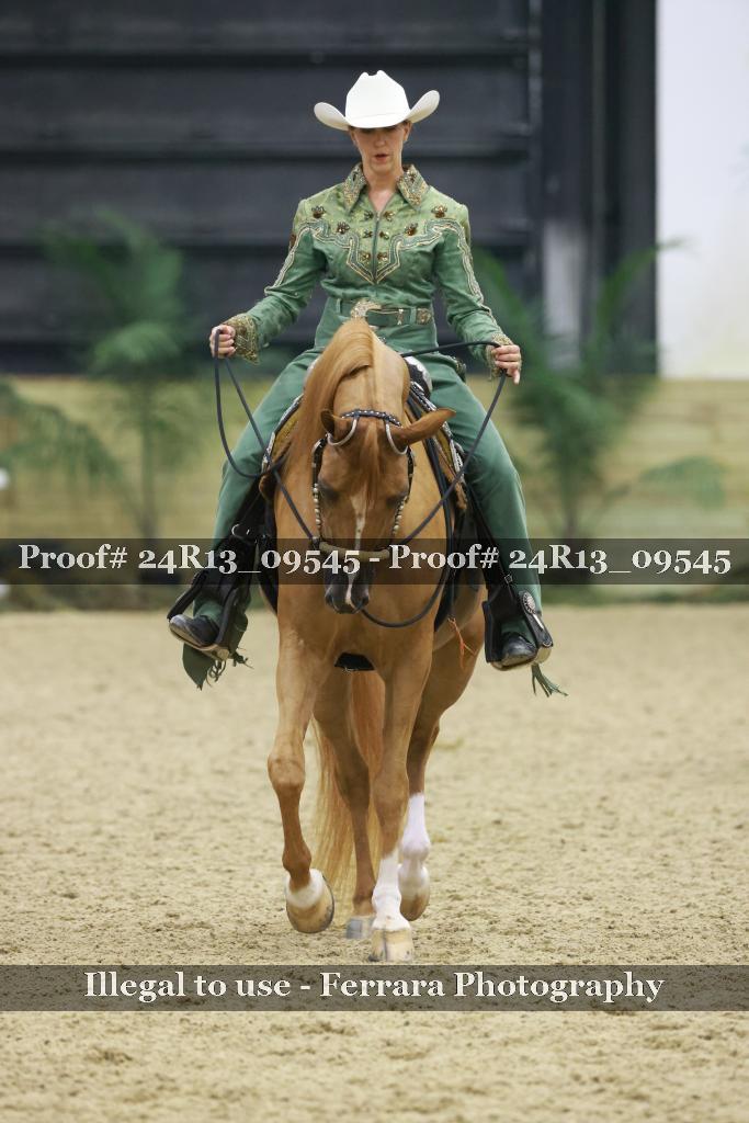 Proof 24R13_09545