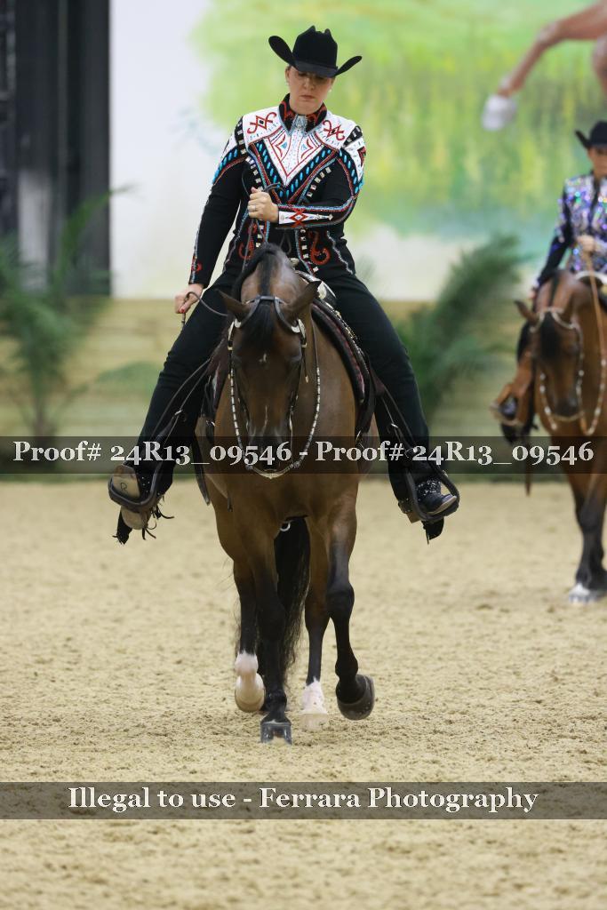 Proof 24R13_09546