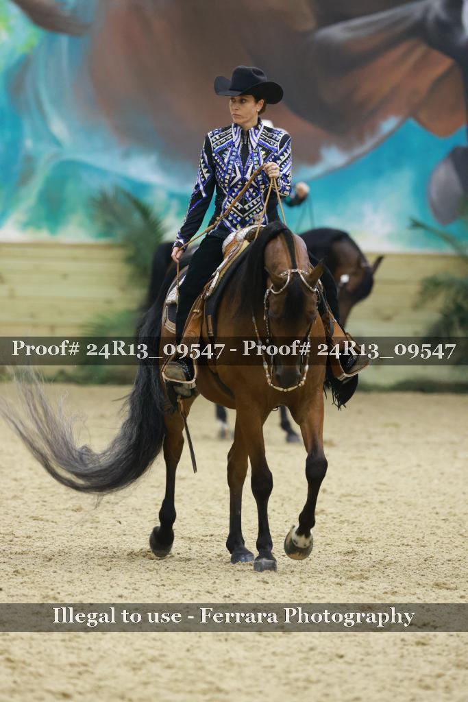 Proof 24R13_09547