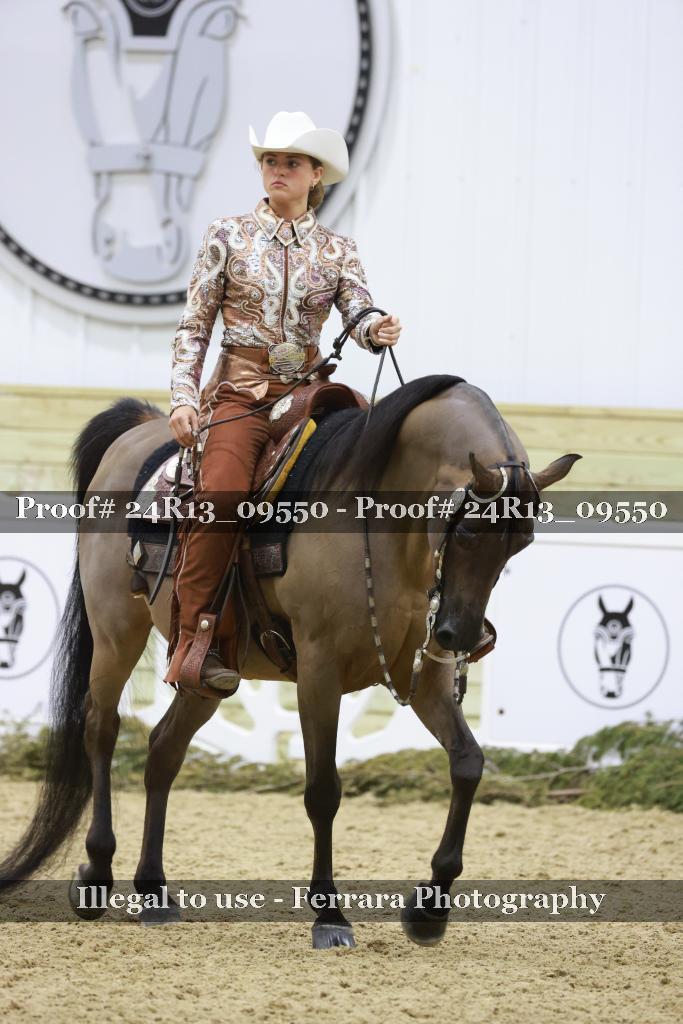 Proof 24R13_09550