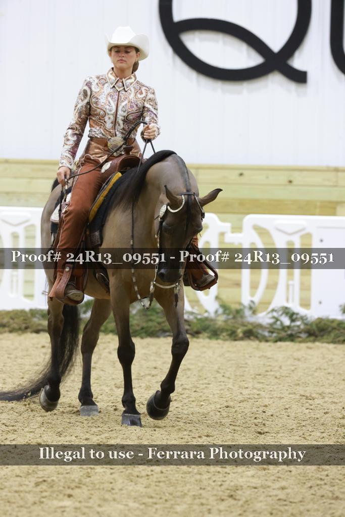 Proof 24R13_09551
