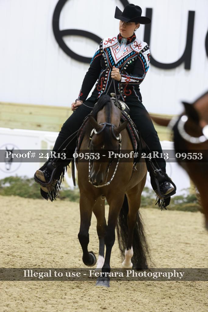 Proof 24R13_09553
