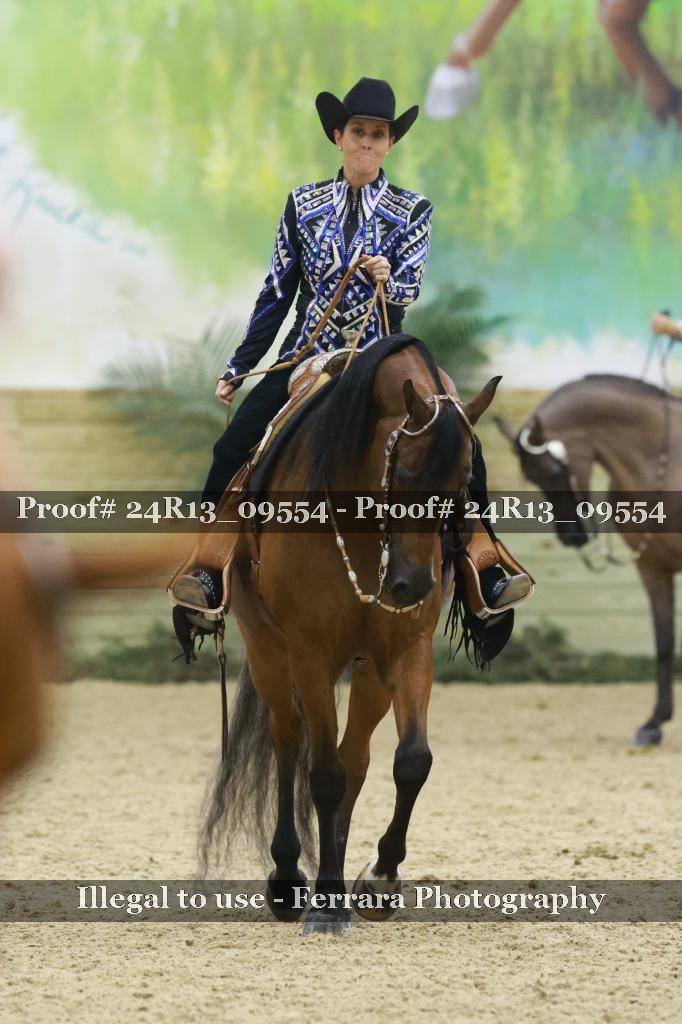 Proof 24R13_09554