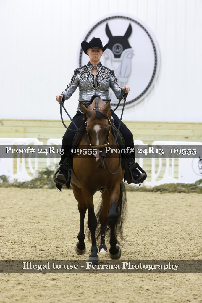 Proof 24R13_09555