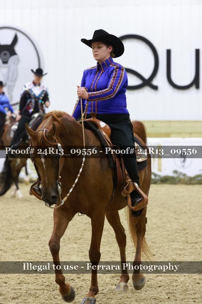 Proof 24R13_09556