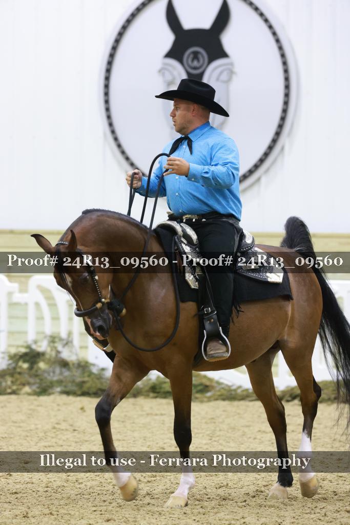 Proof 24R13_09560