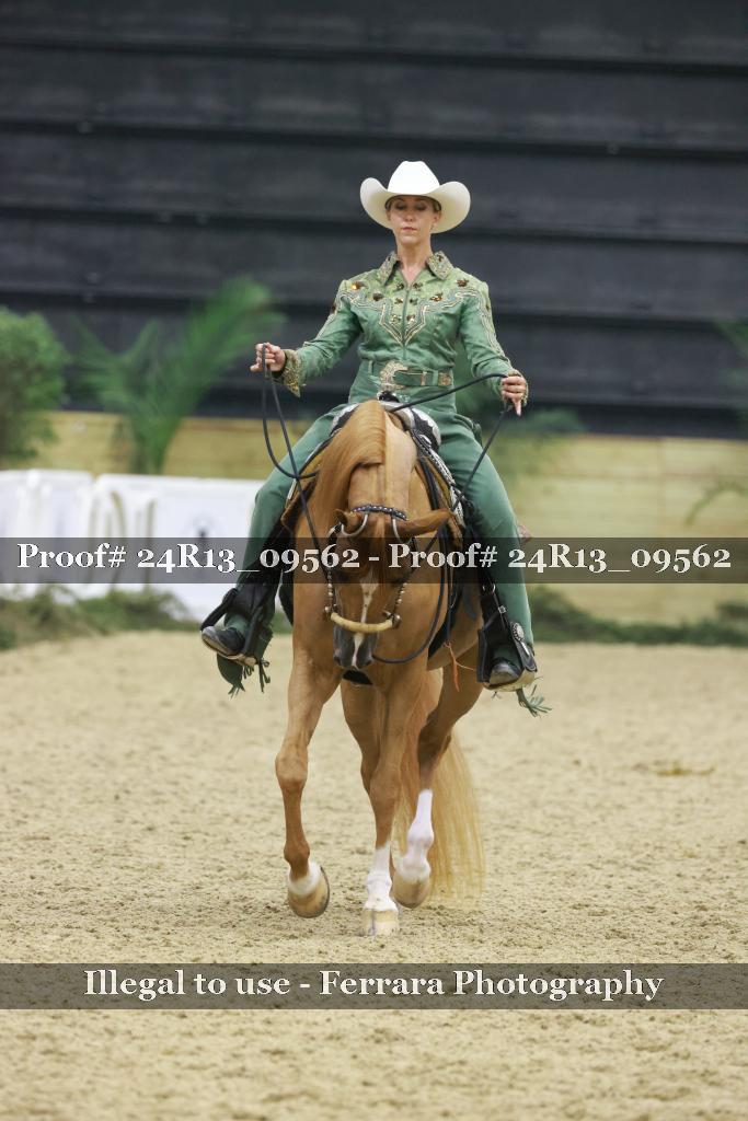 Proof 24R13_09562