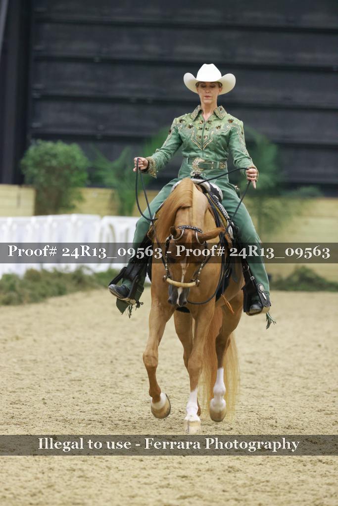 Proof 24R13_09563