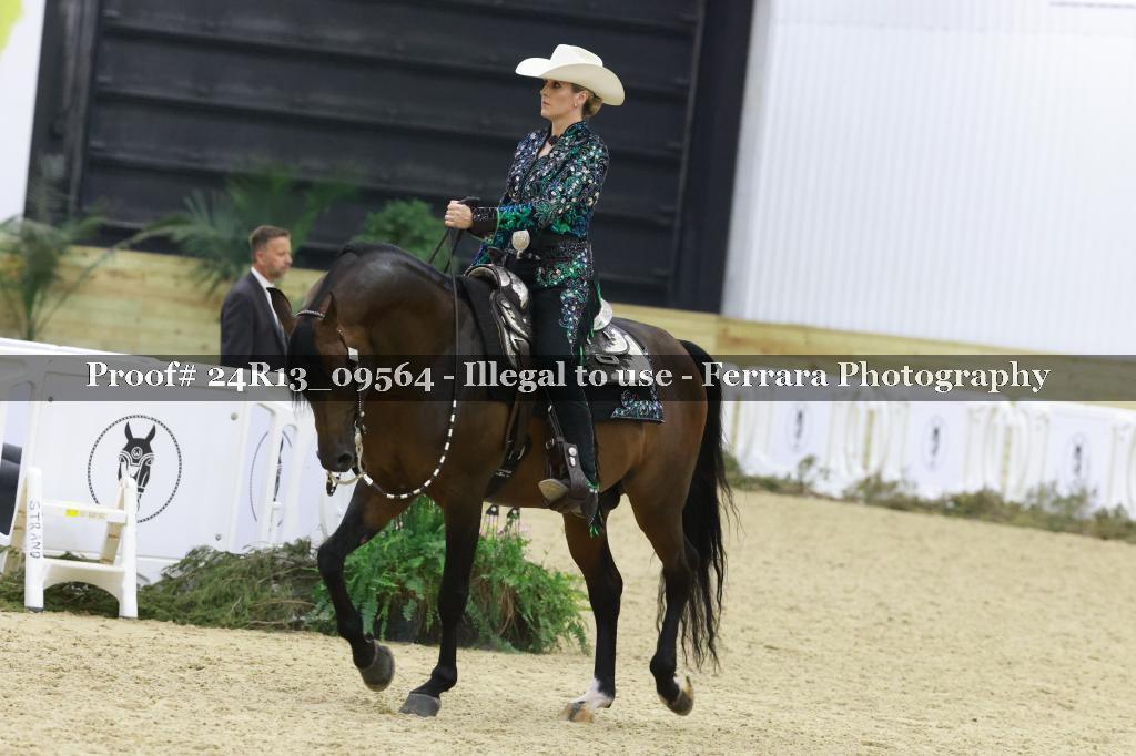 Proof 24R13_09564