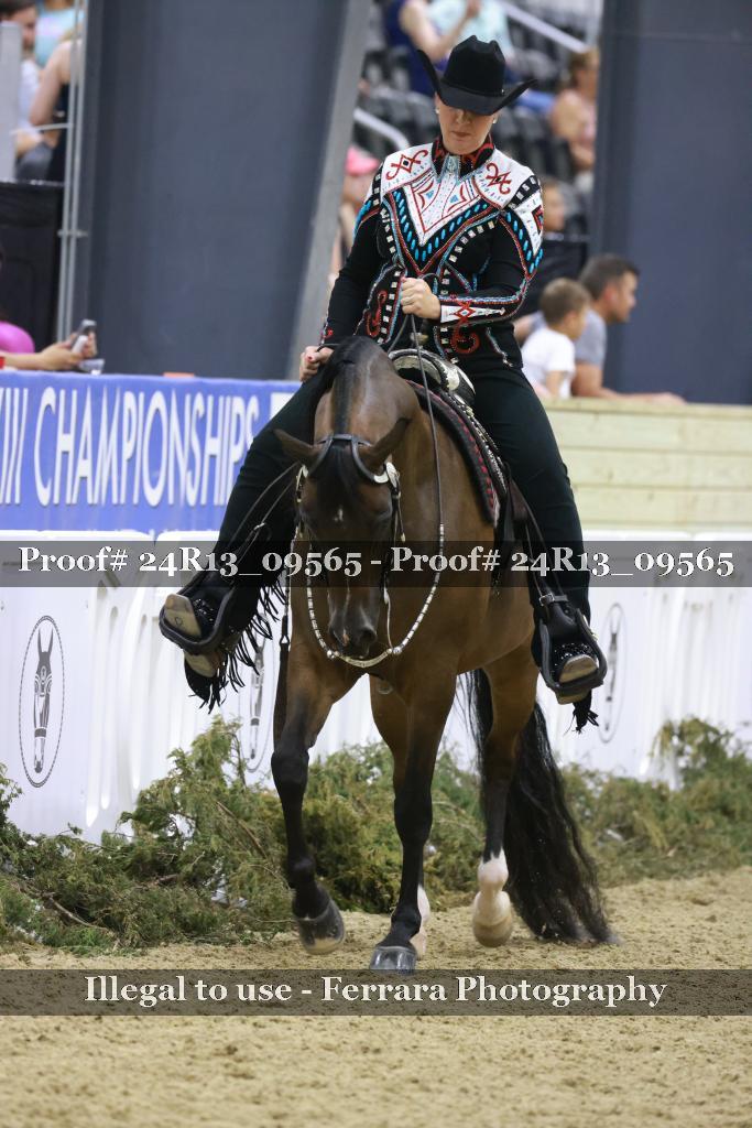 Proof 24R13_09565