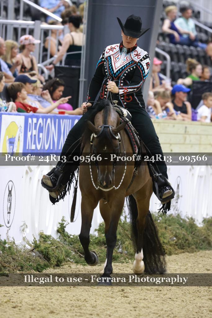 Proof 24R13_09566