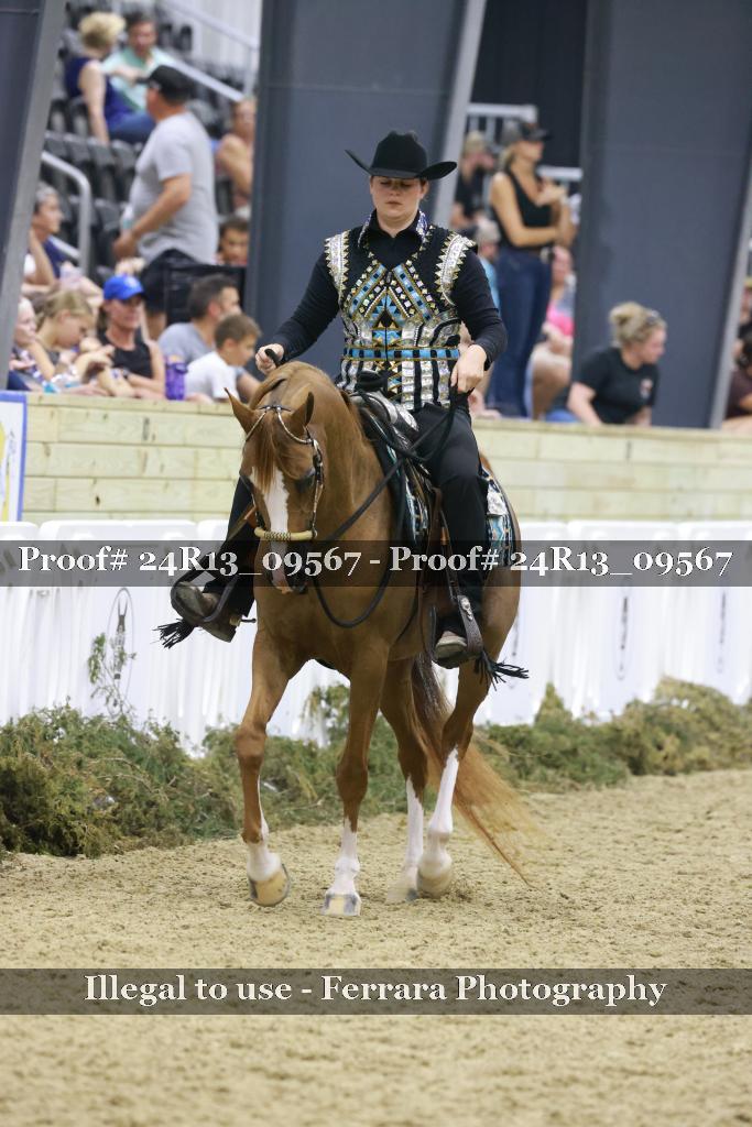 Proof 24R13_09567