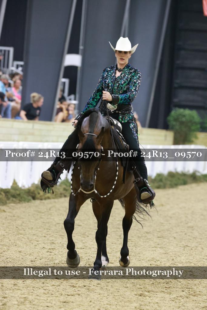 Proof 24R13_09570
