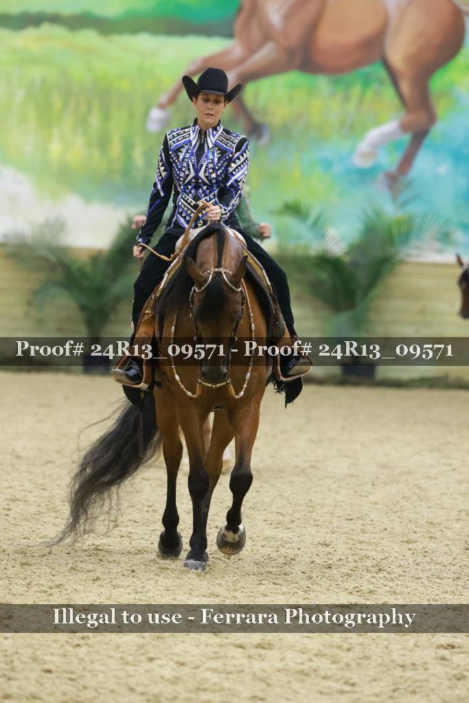 Proof 24R13_09571