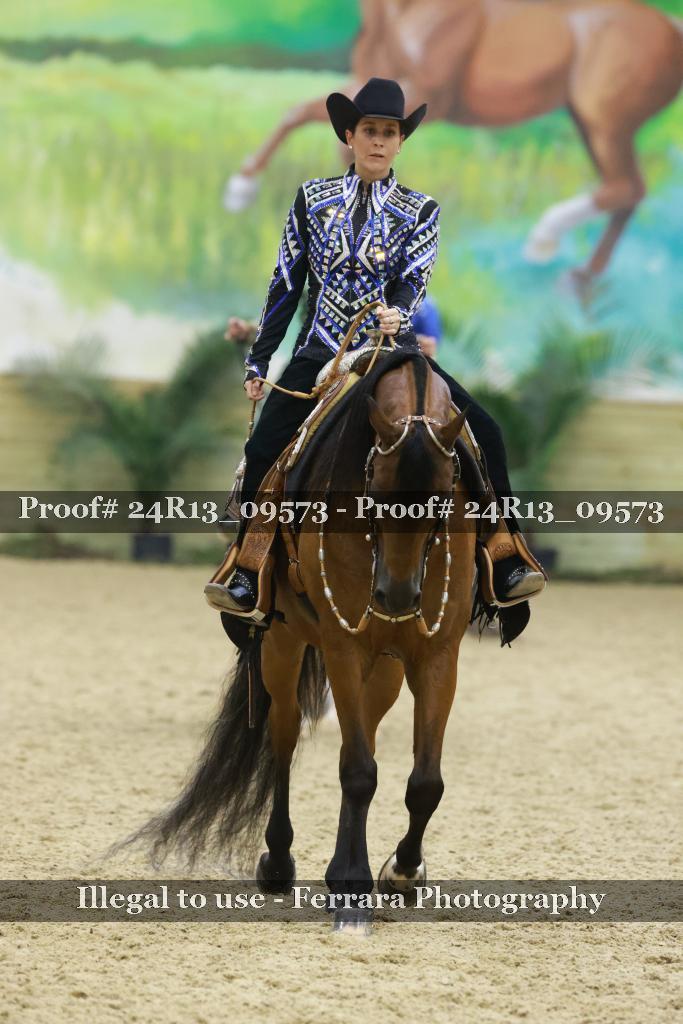 Proof 24R13_09573