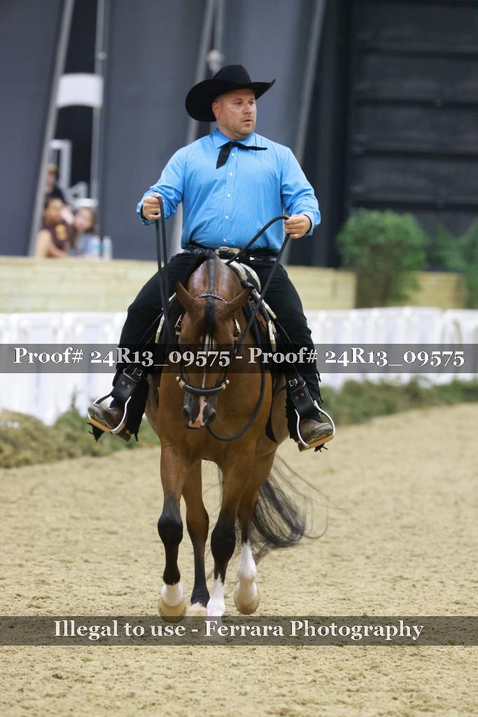 Proof 24R13_09575