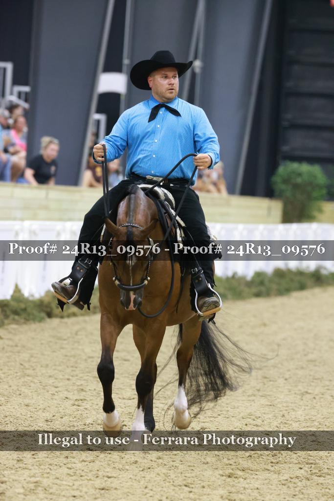 Proof 24R13_09576