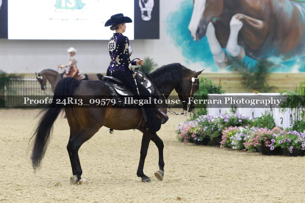 Proof 24R13_09579