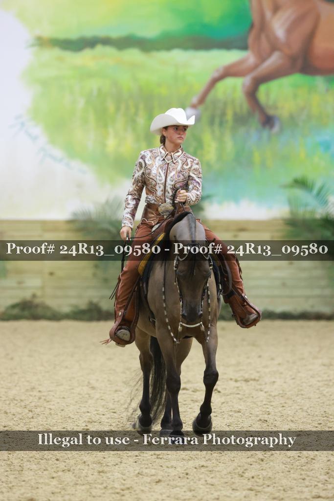 Proof 24R13_09580