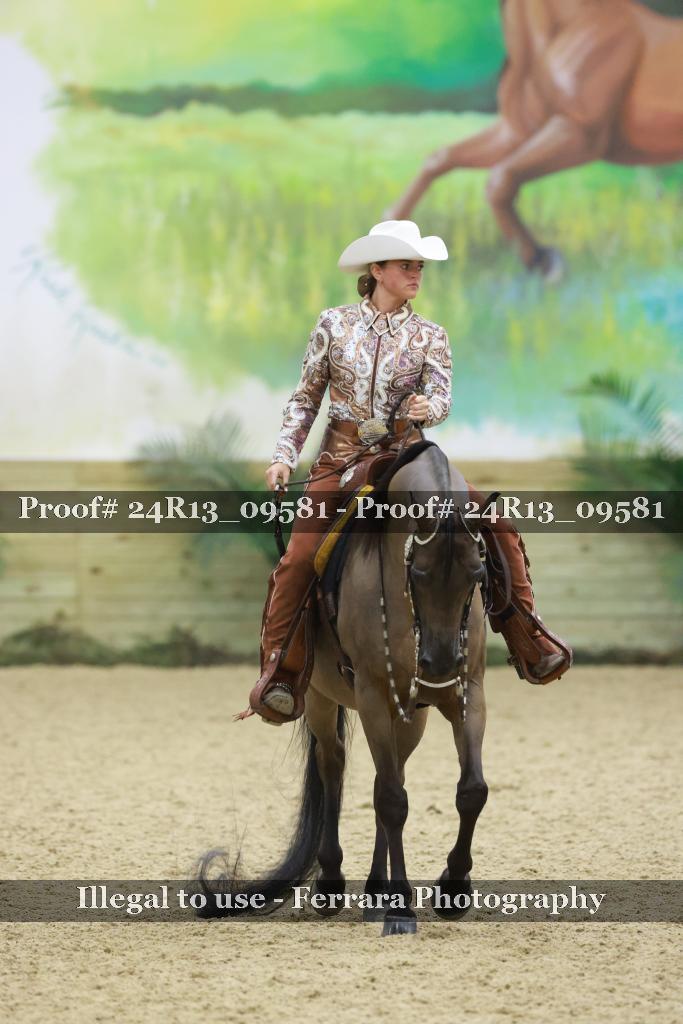 Proof 24R13_09581