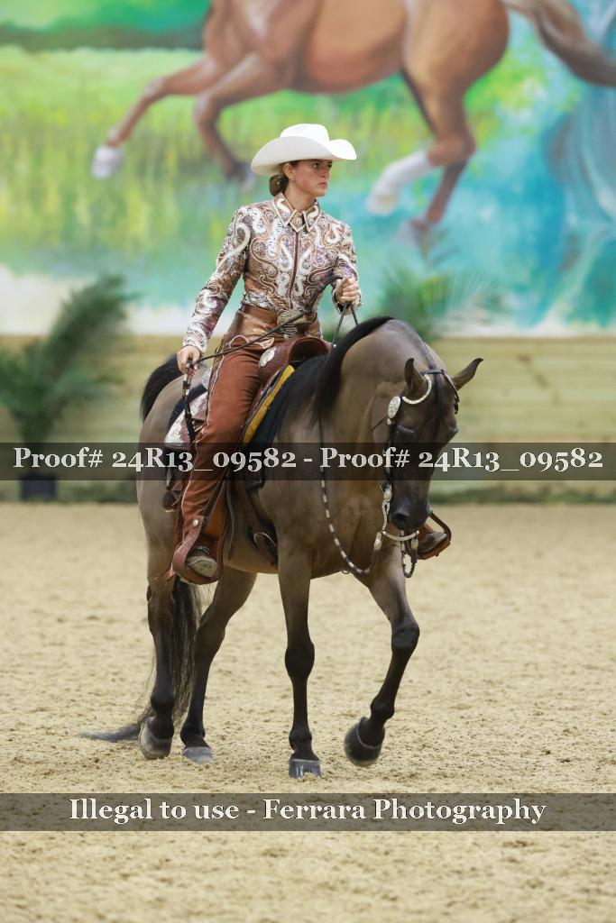 Proof 24R13_09582