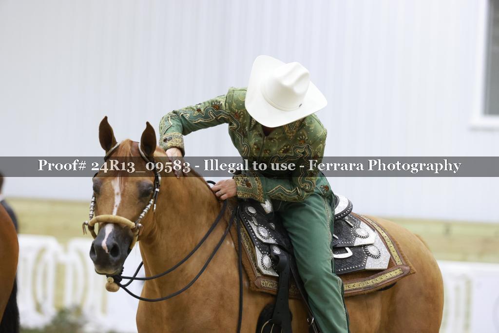Proof 24R13_09583