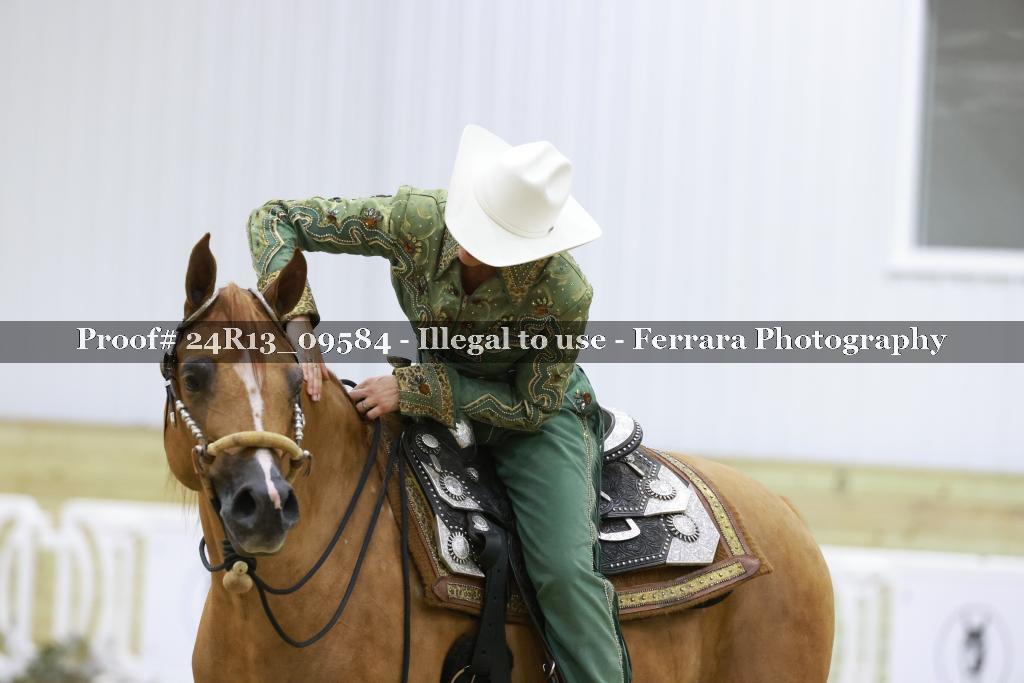 Proof 24R13_09584