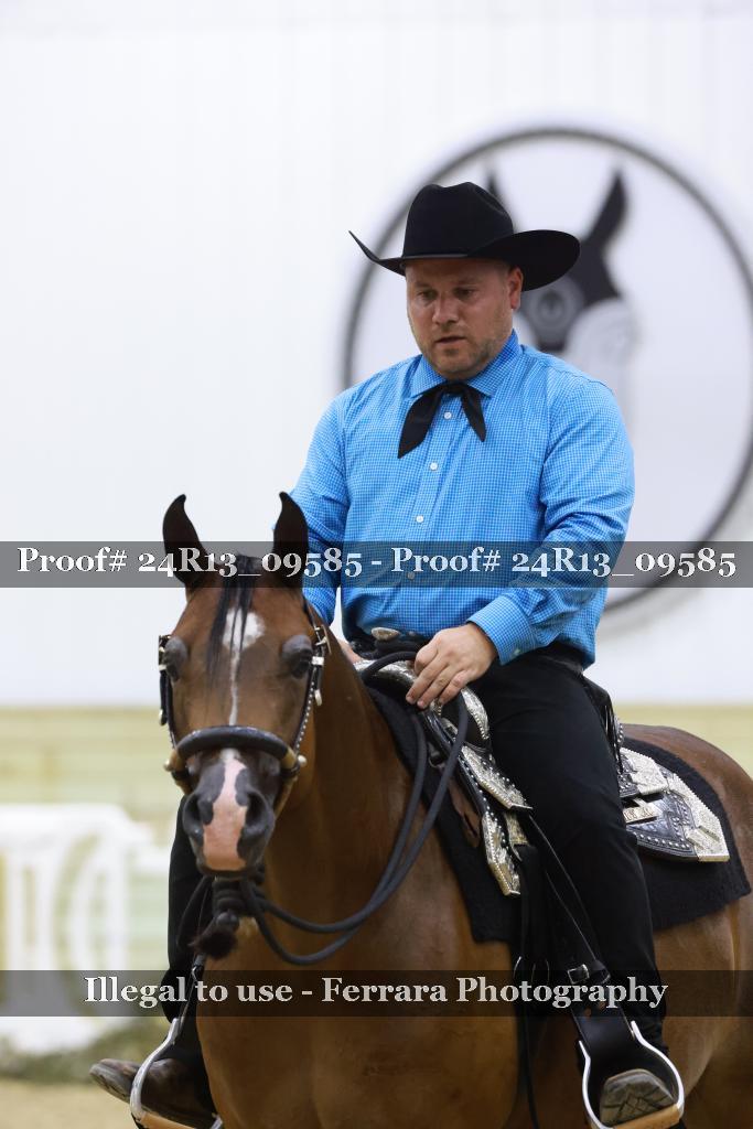 Proof 24R13_09585