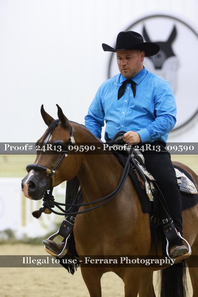 Proof 24R13_09590