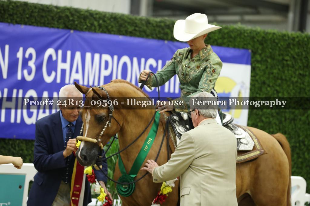 Proof 24R13_09596