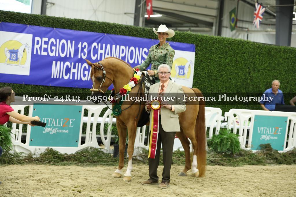 Proof 24R13_09599