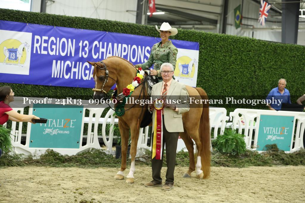 Proof 24R13_09600