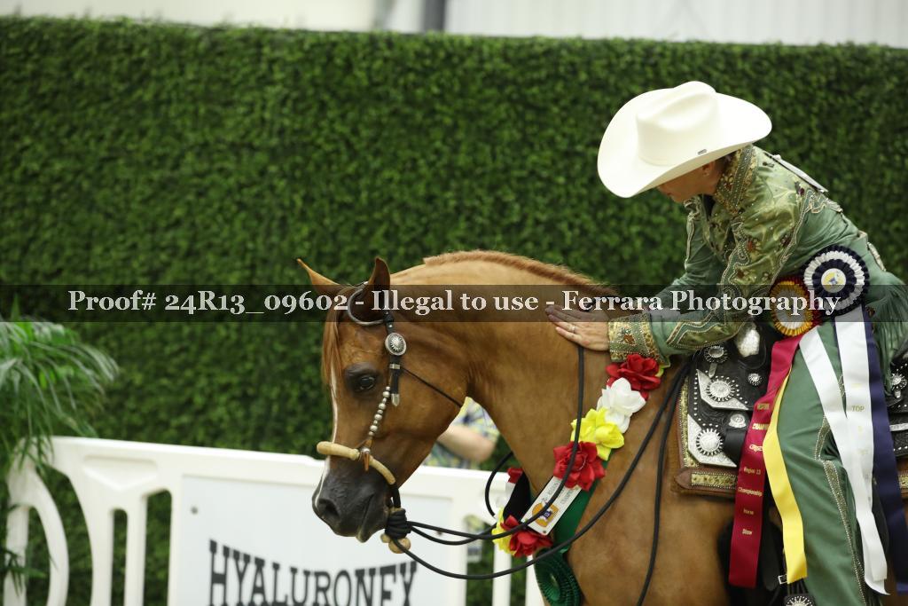 Proof 24R13_09602