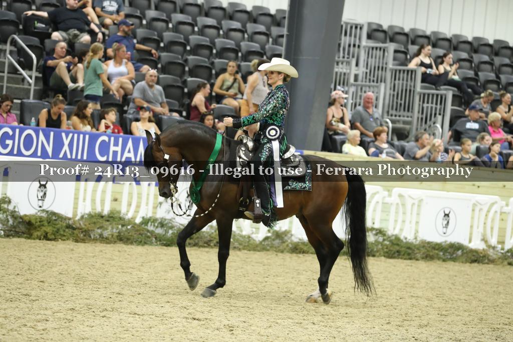 Proof 24R13_09616