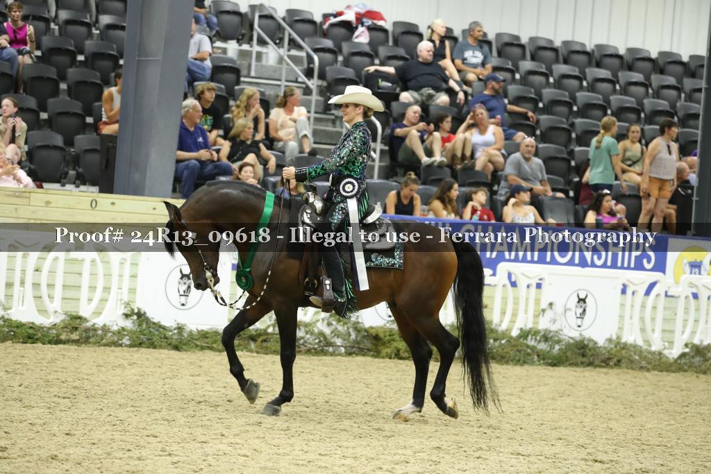 Proof 24R13_09618