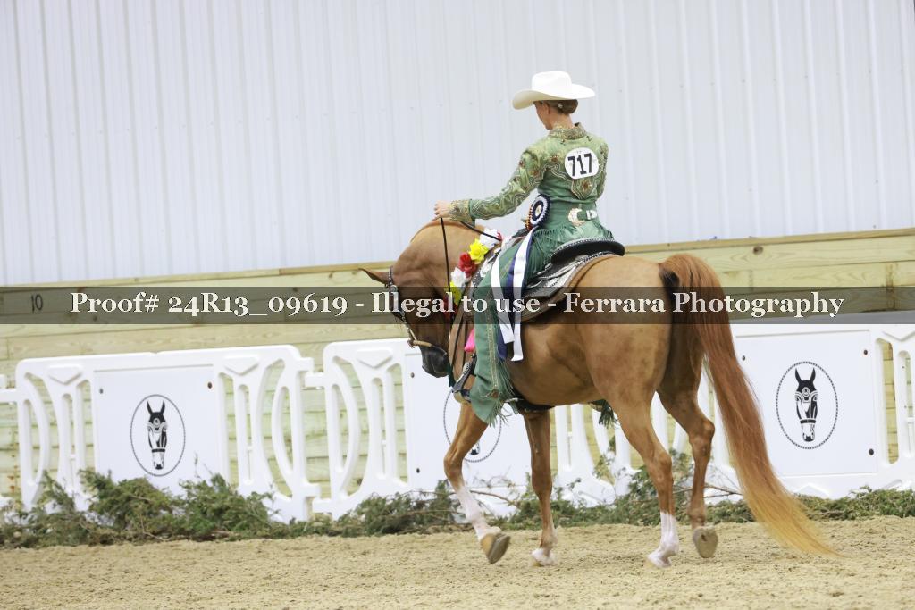 Proof 24R13_09619