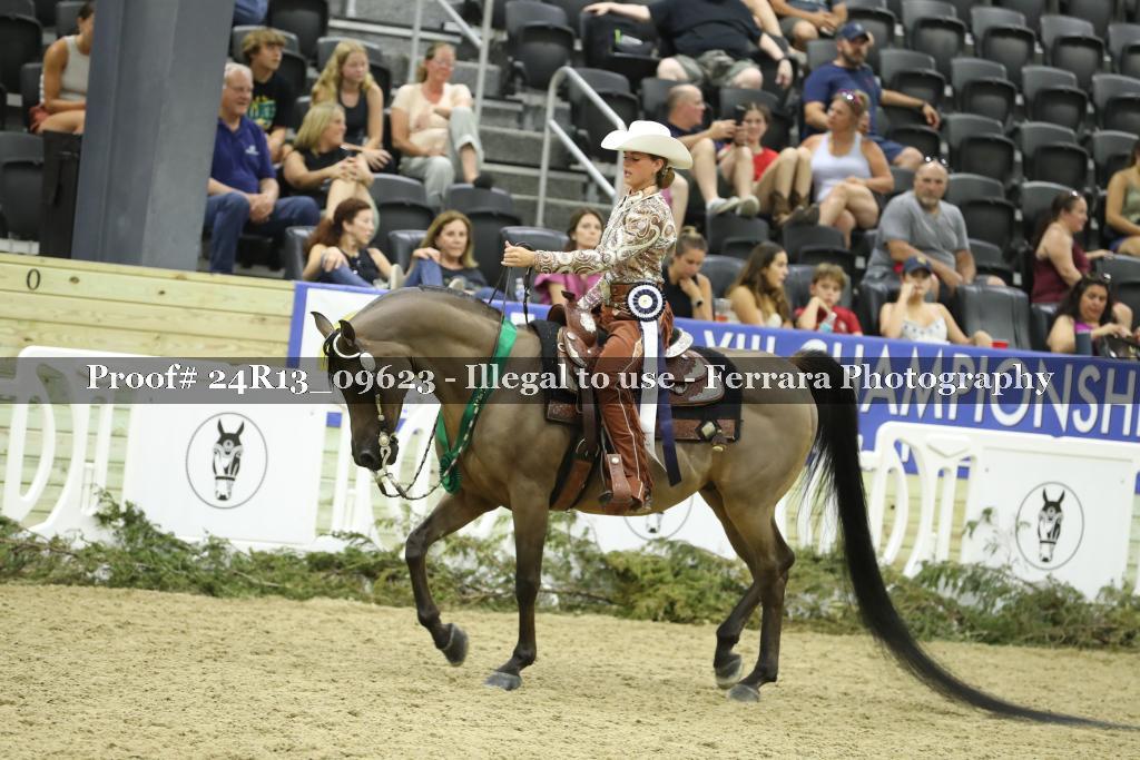 Proof 24R13_09623