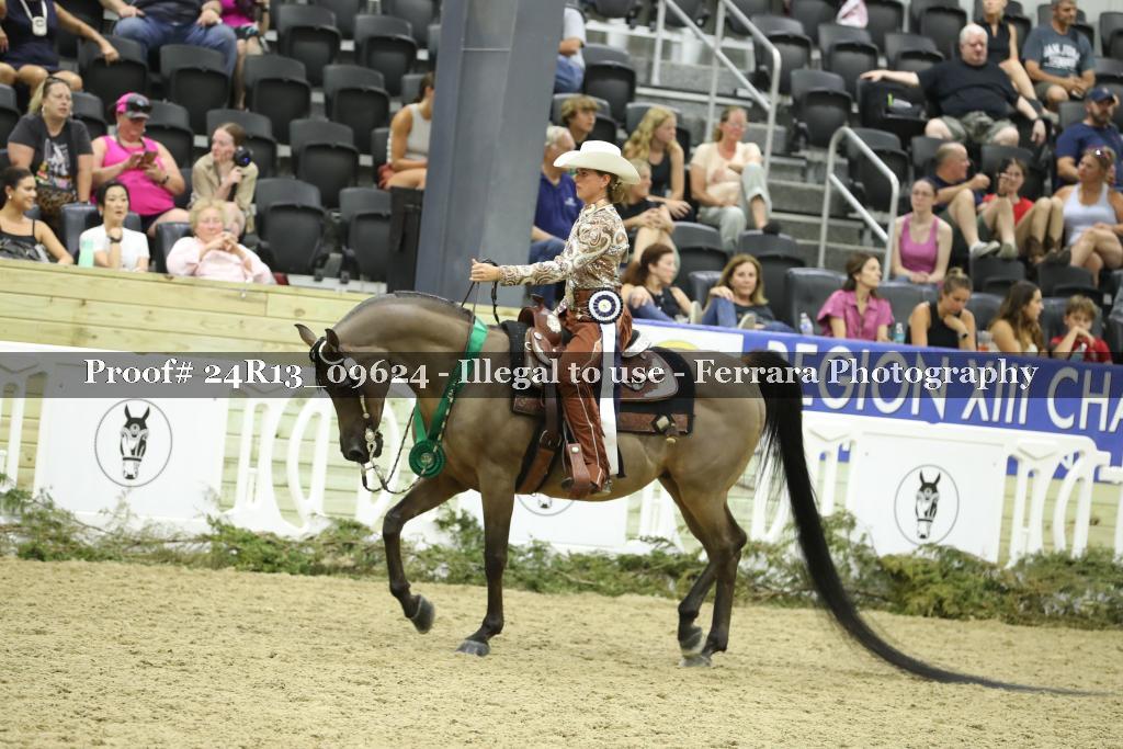 Proof 24R13_09624