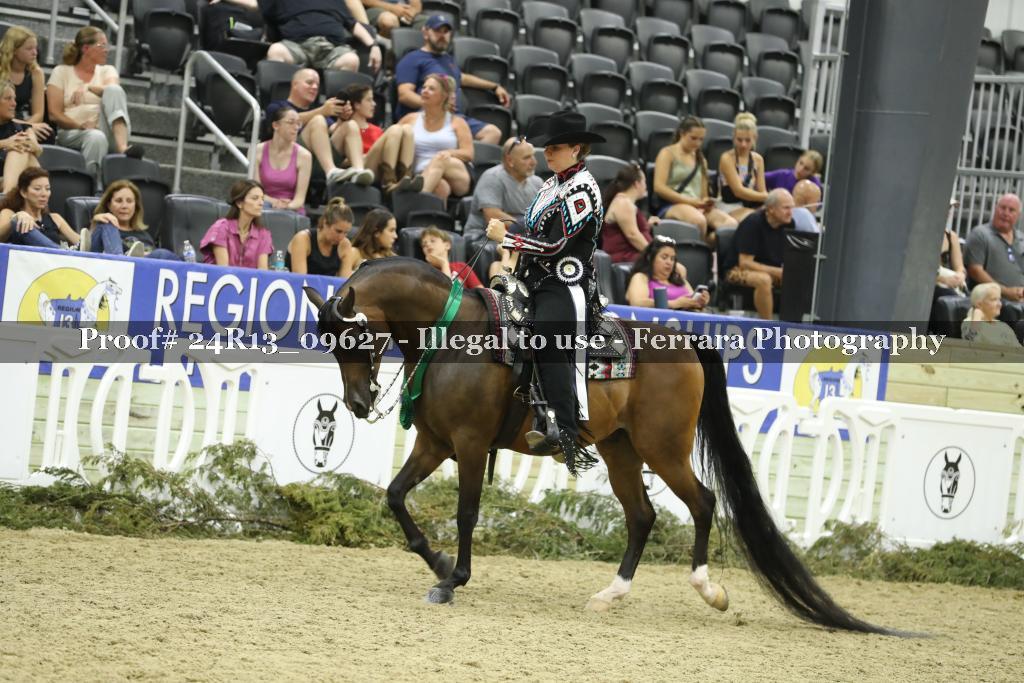Proof 24R13_09627
