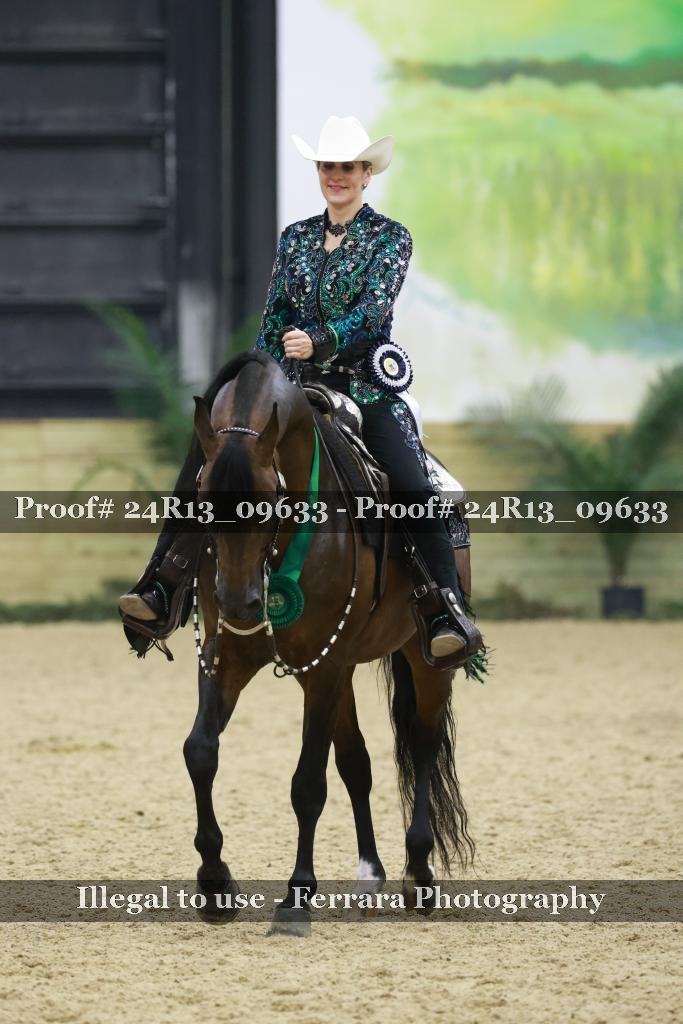 Proof 24R13_09633